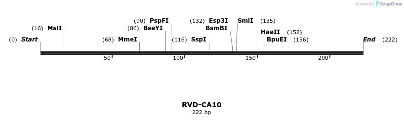 336248_map