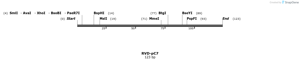 336249_map