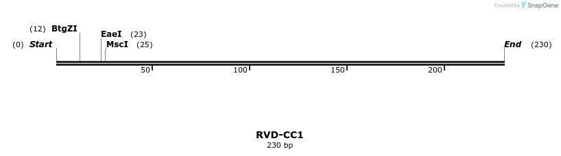 336251_map