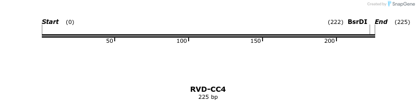 336254_map