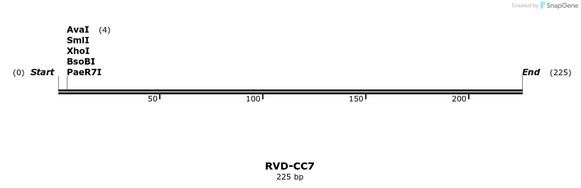 336257_map
