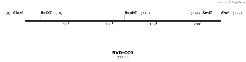 336259_map