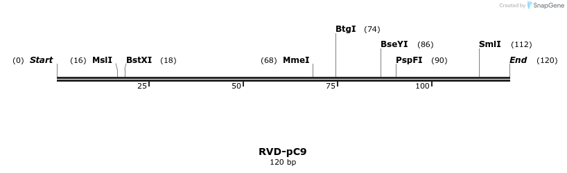 336261_map