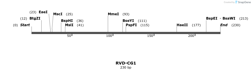 336263_map