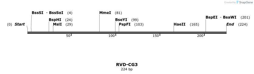 336265_map