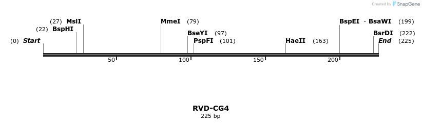 336266_map
