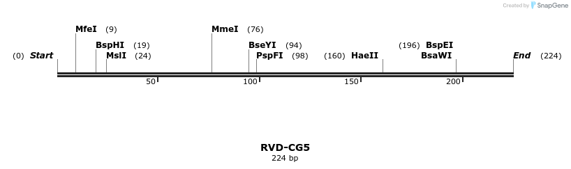 336267_map