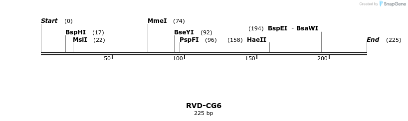 336268_map