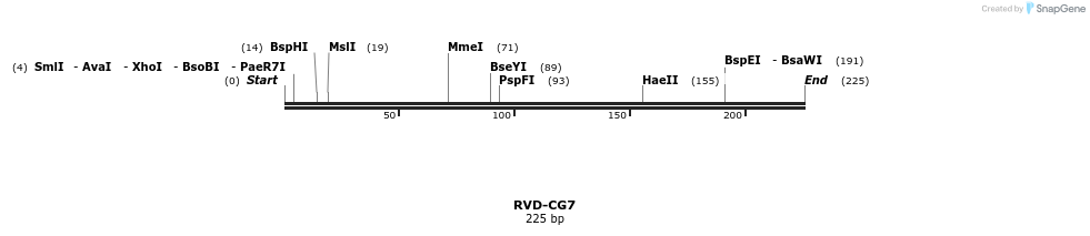 336269_map