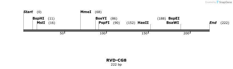 336270_map