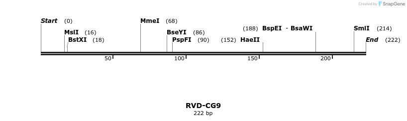 336271_map