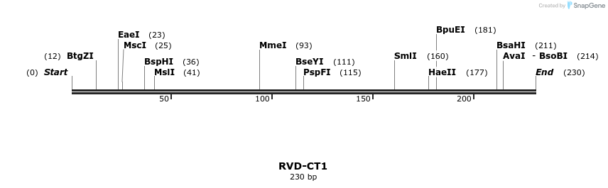 336275_map