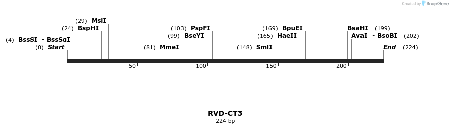 336277_map
