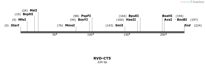 336279_map
