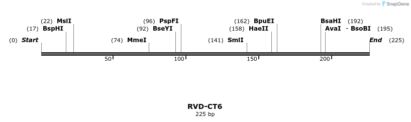 336280_map