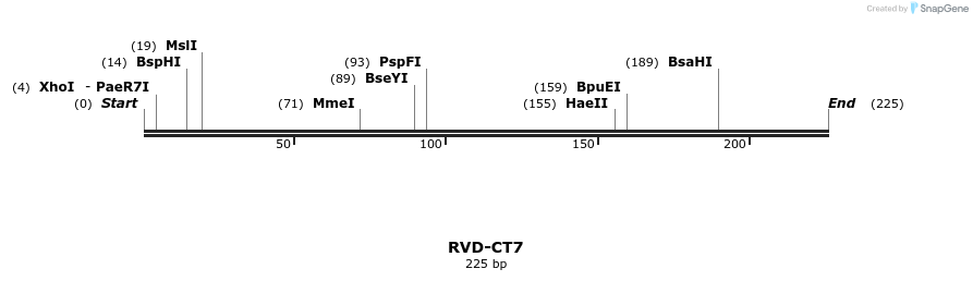 336281_map