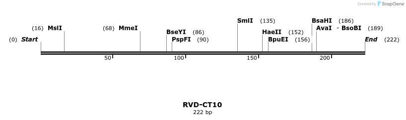 336284_map