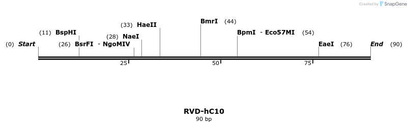 336285_map