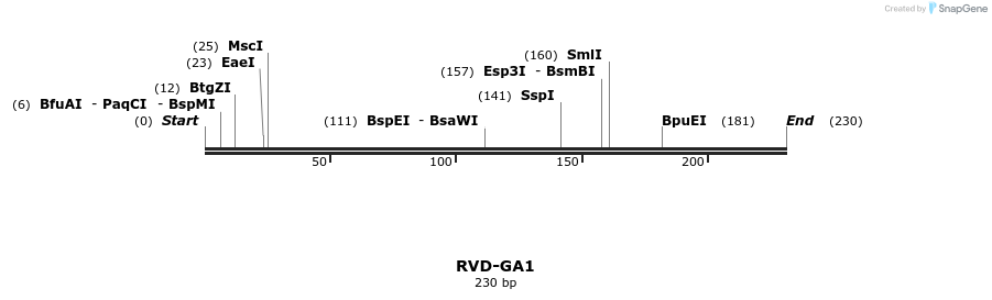 336287_map