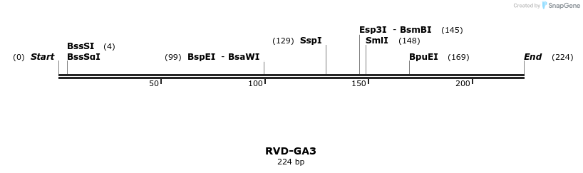 336289_map