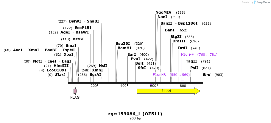 33629_map