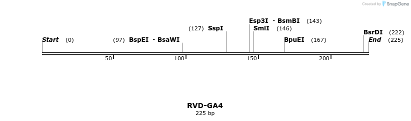 336290_map