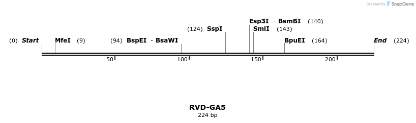 336291_map