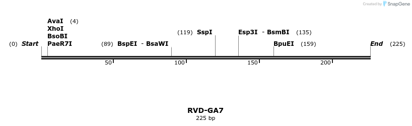 336293_map