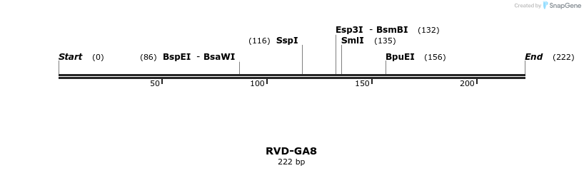 336294_map
