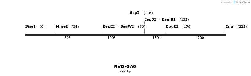 336295_map