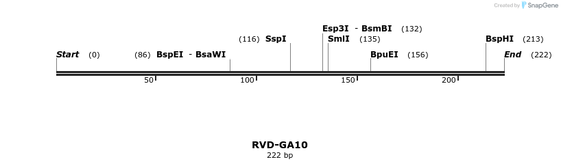 336296_map