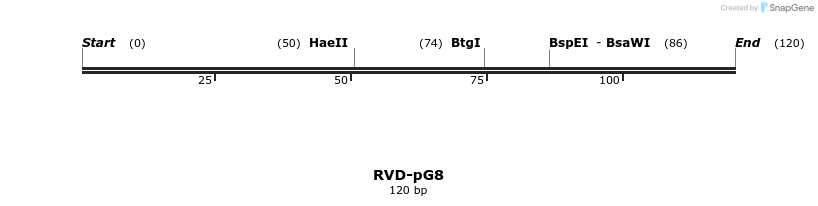336298_map