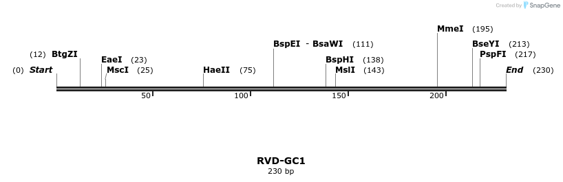 336299_map