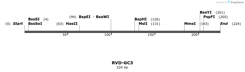 336301_map