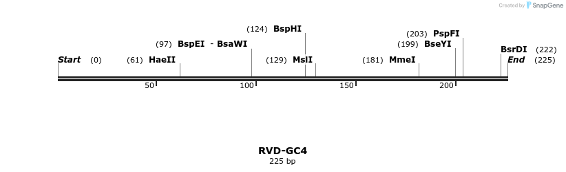336302_map