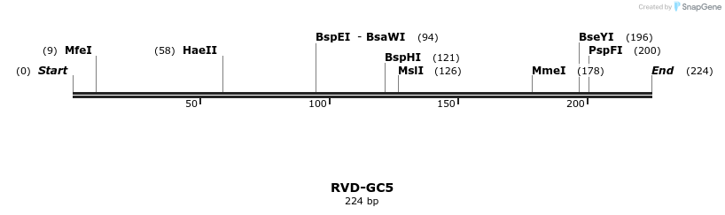 336303_map