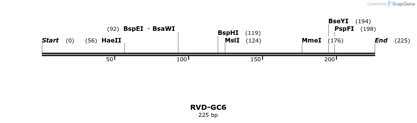 336304_map