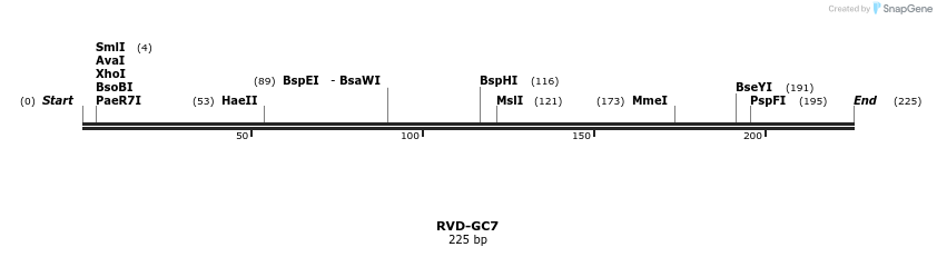 336305_map