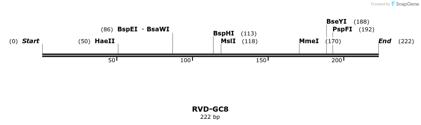336306_map