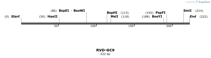 336307_map