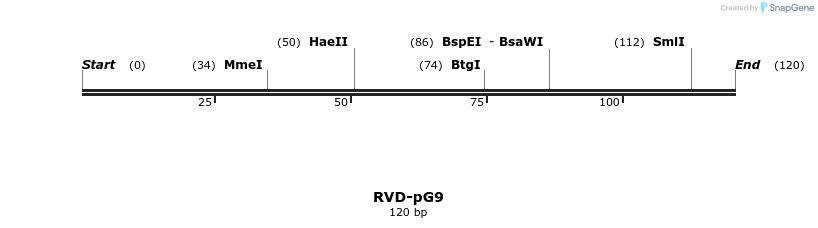 336309_map