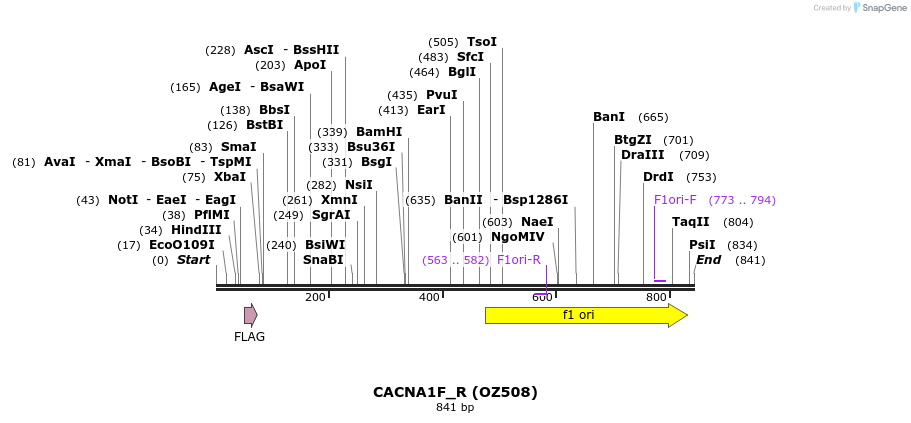 33631_map