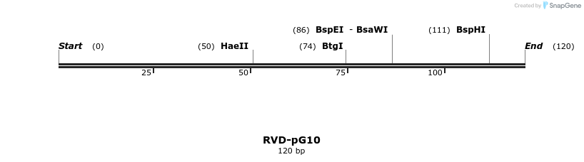 336310_map
