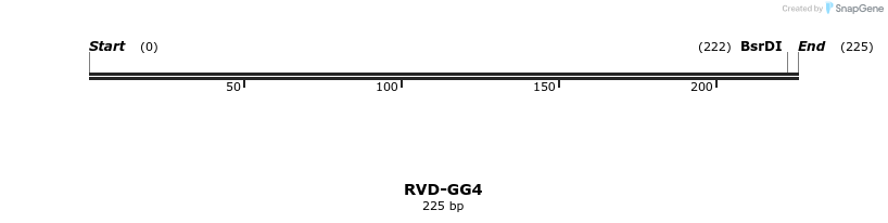 336314_map