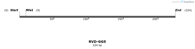 336315_map