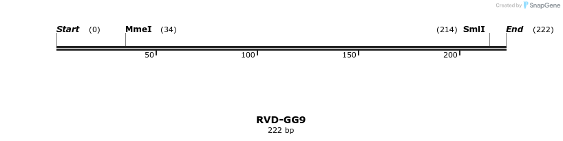 336319_map