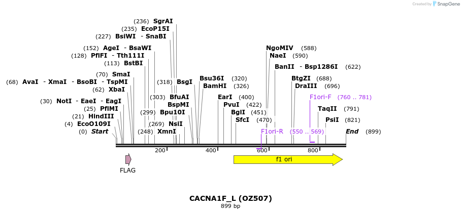 33632_map