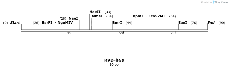 336322_map