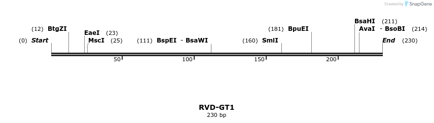 336323_map