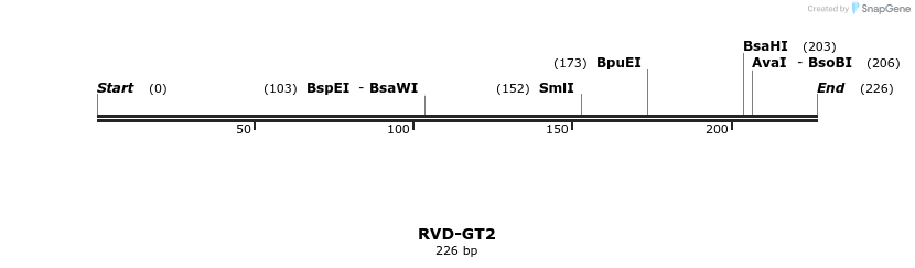 336324_map